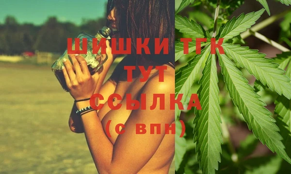 скорость Богданович