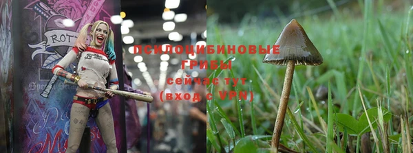 не бодяженный Богородск